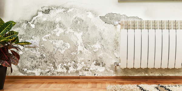 Winter is coming: How to treat damp walls internally